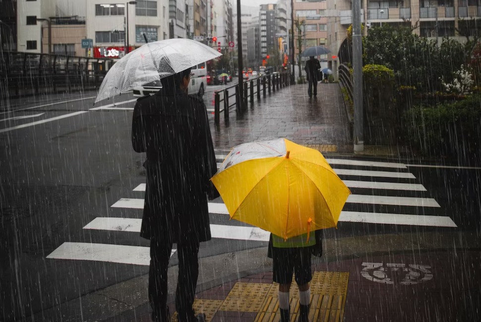 man and kid with umbrellas cross the road on a rainy day