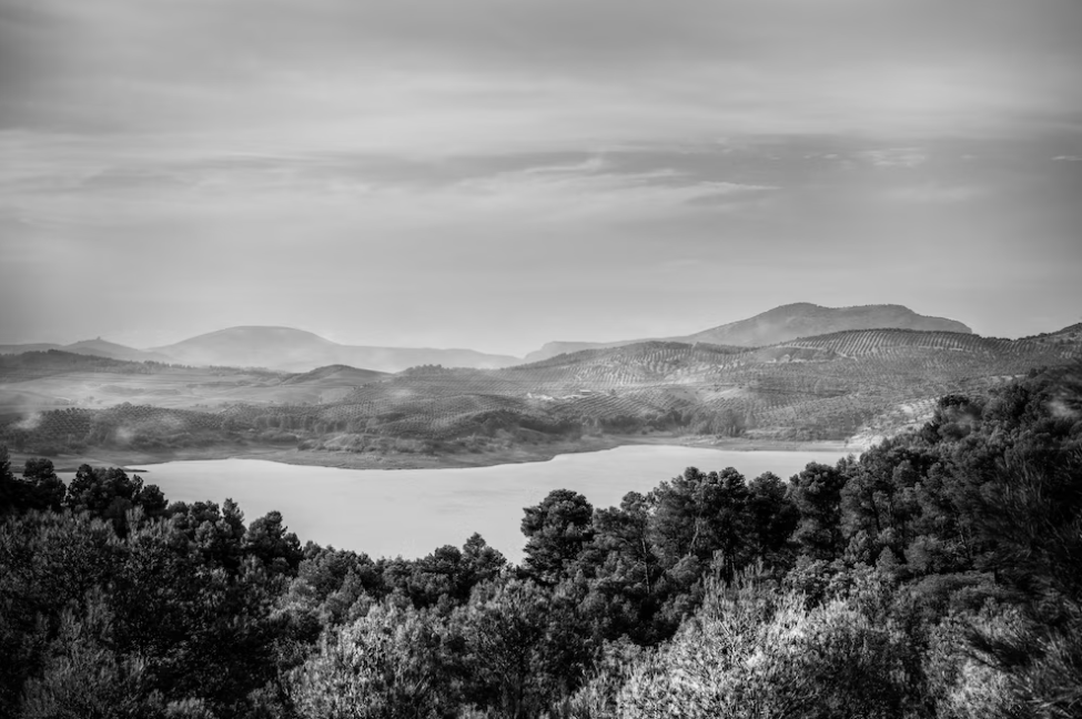 black and white landscape with trees and river