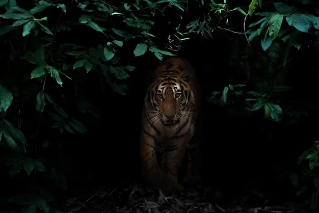 A majestic tiger in a jungle